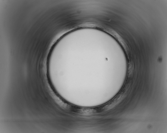 X0000100410795200807032036