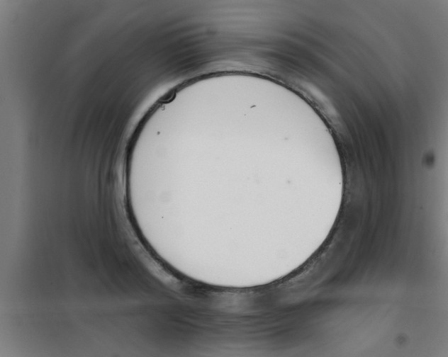 X0000100410796200807032036