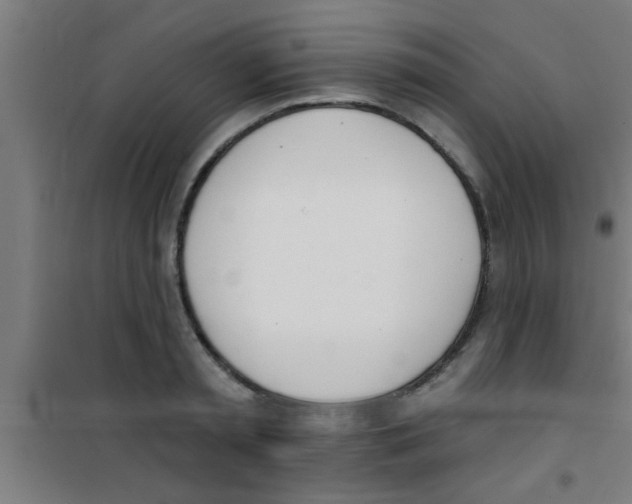 X0000100410797200807032036