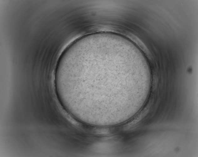 X0000100410798200807032036