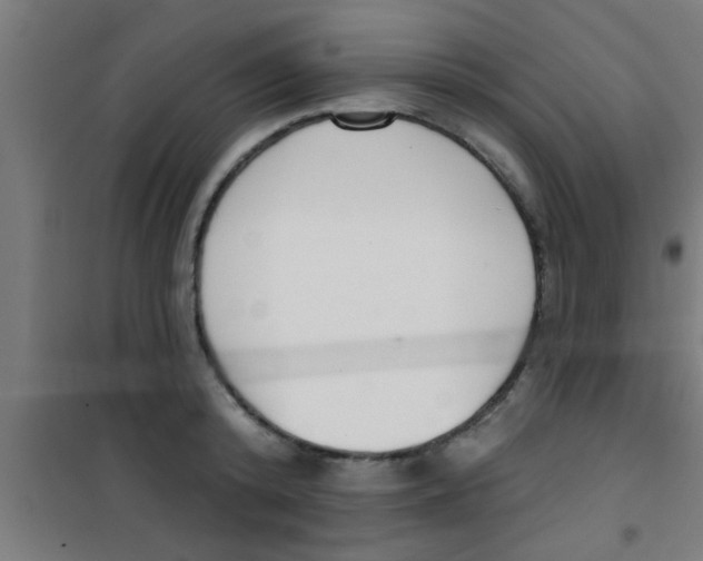 X0000100410800200807032036