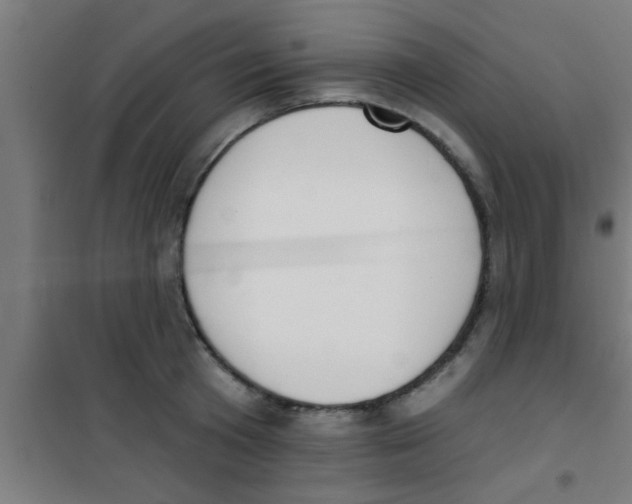 X0000100410801200807032036