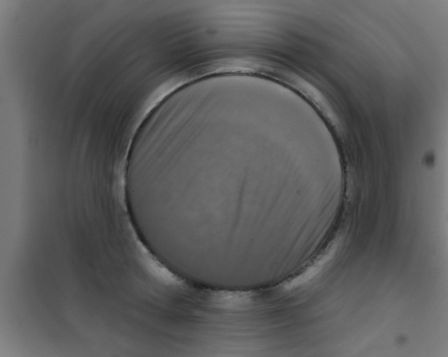X0000100410802200807032036