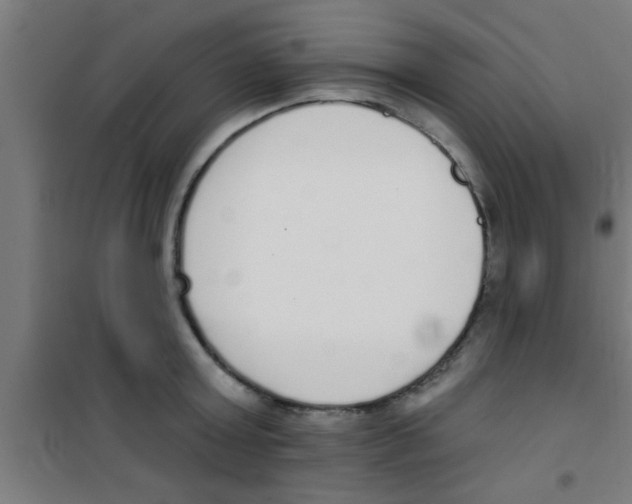 X0000100410803200807032036