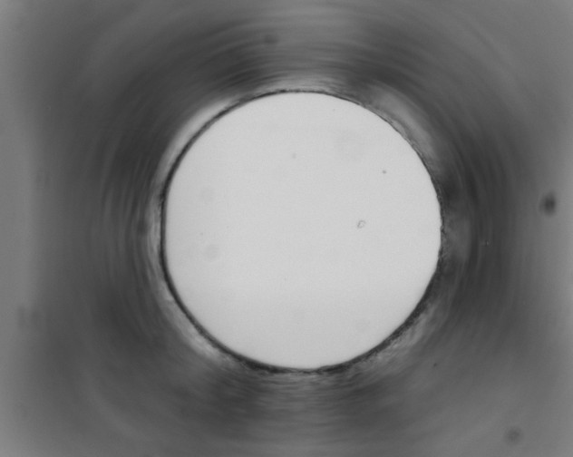 X0000100410804200807032036