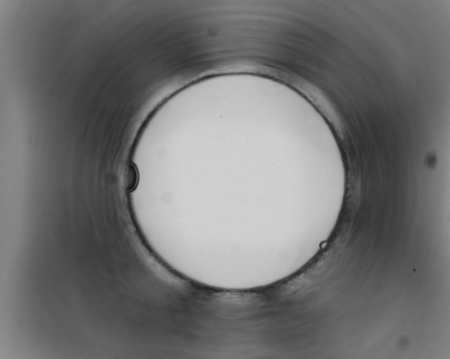 X0000100410805200807032036