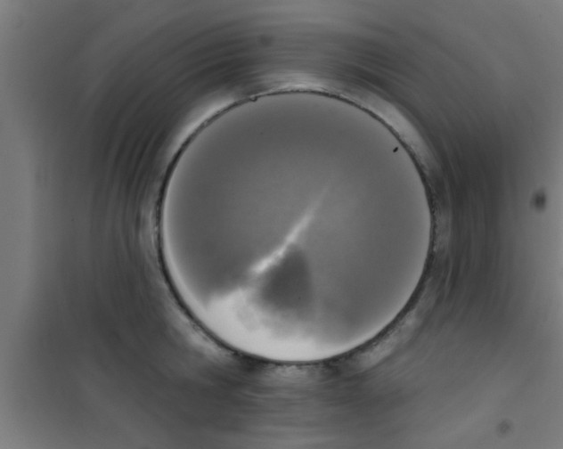 X0000100410806200807032036