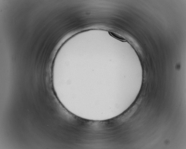 X0000100410808200807032036