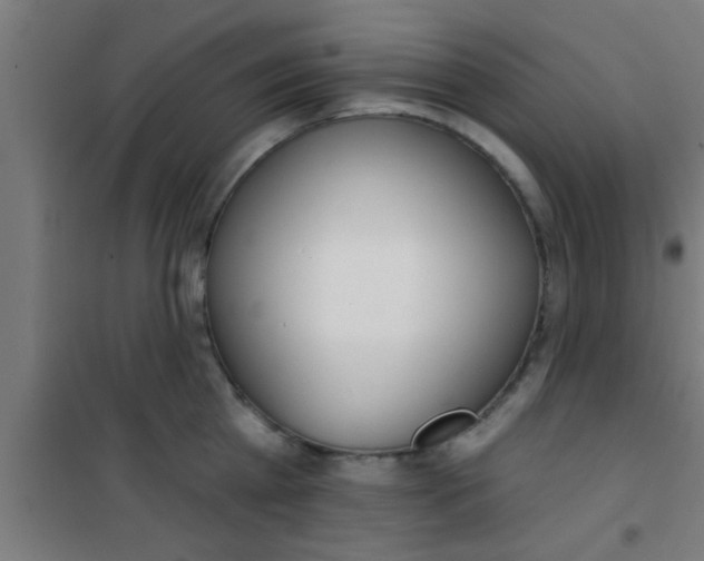 X0000100410809200807032036