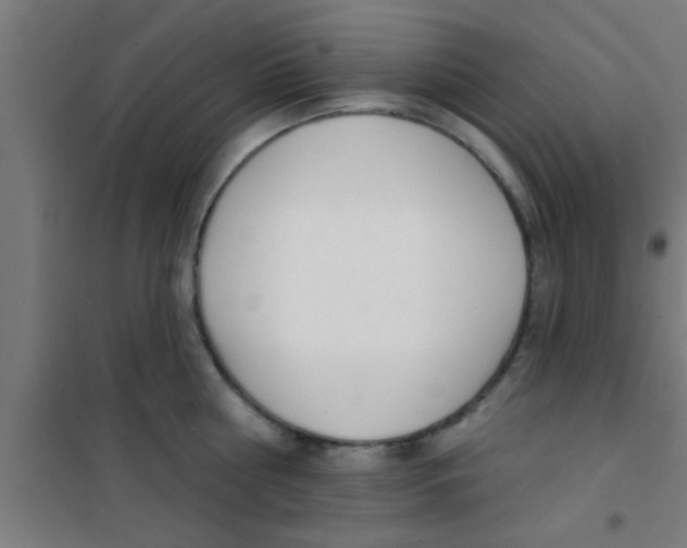 X0000100410810200807032036