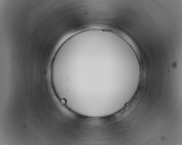 X0000100410811200807032036