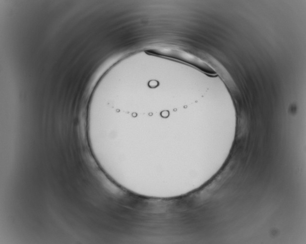 X0000100410812200807032036