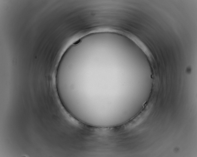 X0000100410813200807032036