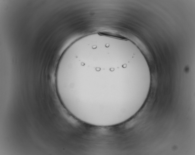 X0000100410814200807032036