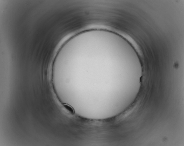 X0000100410815200807032036