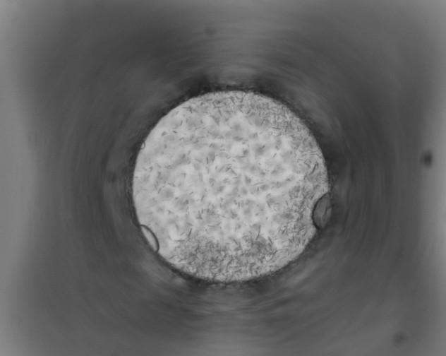 X0000100410817200807032035