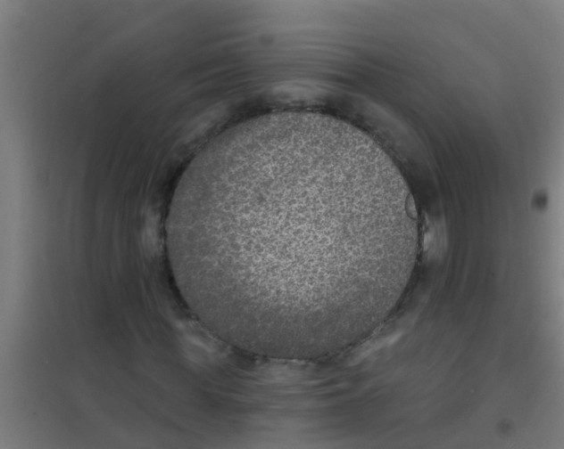 X0000100410819200807032035