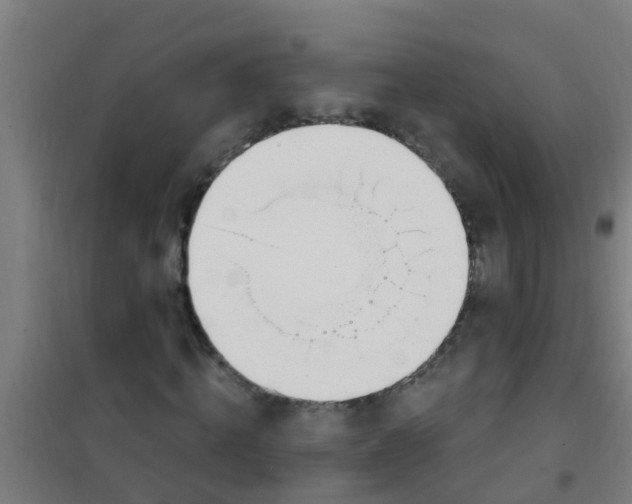 X0000100410820200807032035