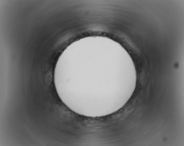 X0000100410821200807032035