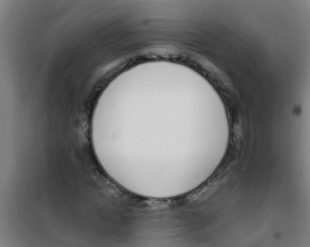 X0000100410822200807032035