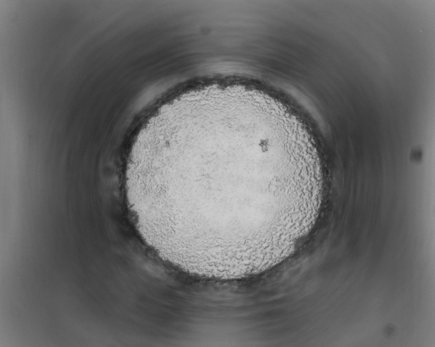 X0000100410823200807032035