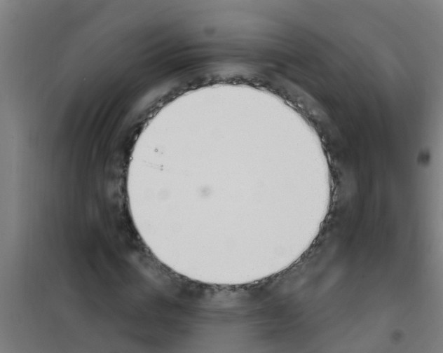 X0000100410824200807032035