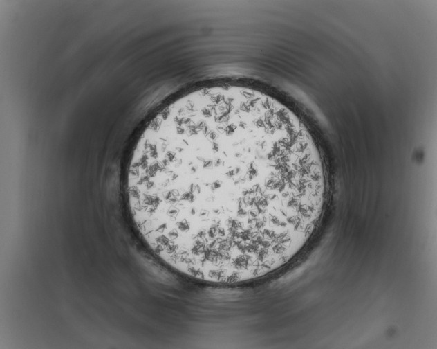 X0000100410825200807032035