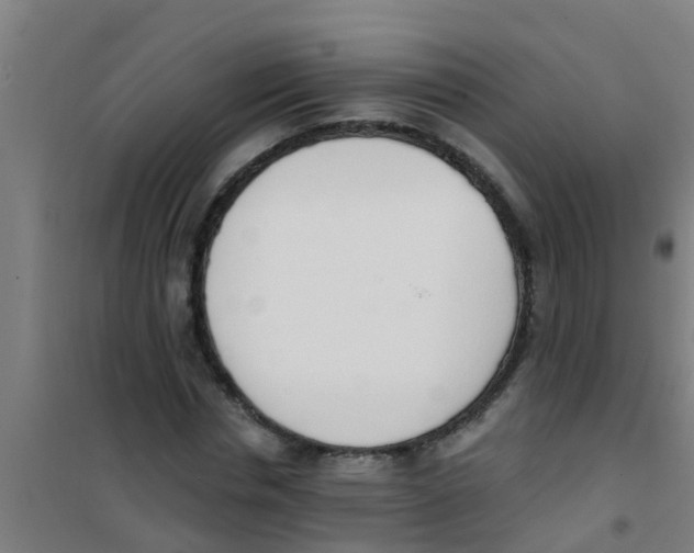 X0000100410826200807032035