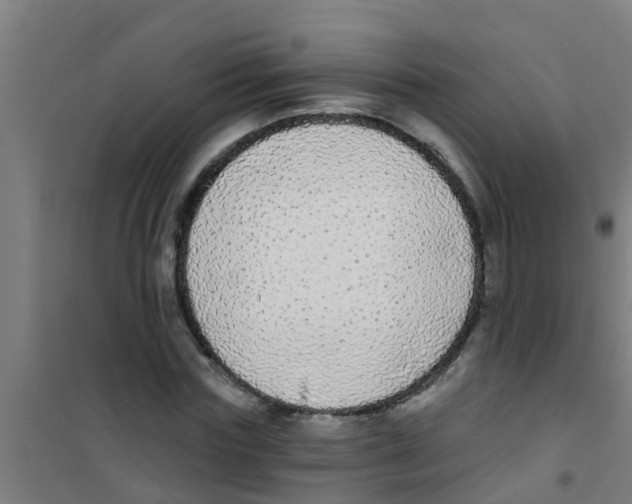 X0000100410827200807032035