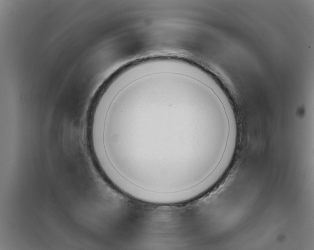X0000100410828200807032035