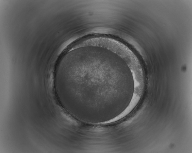 X0000100410829200807032035