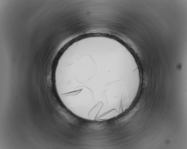 X0000100410830200807032035