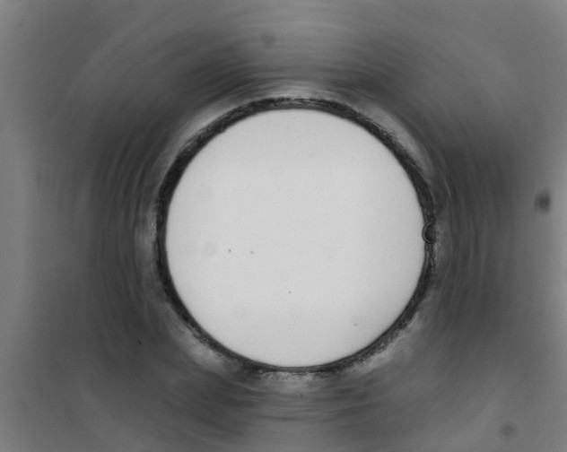 X0000100410831200807032035