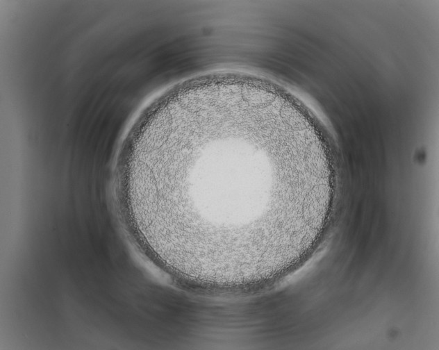 X0000100410832200807032035