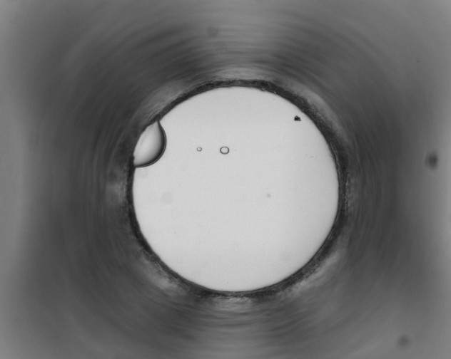 X0000100410833200807032035