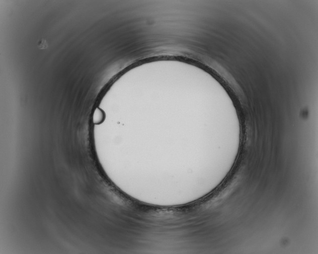 X0000100410834200807032035