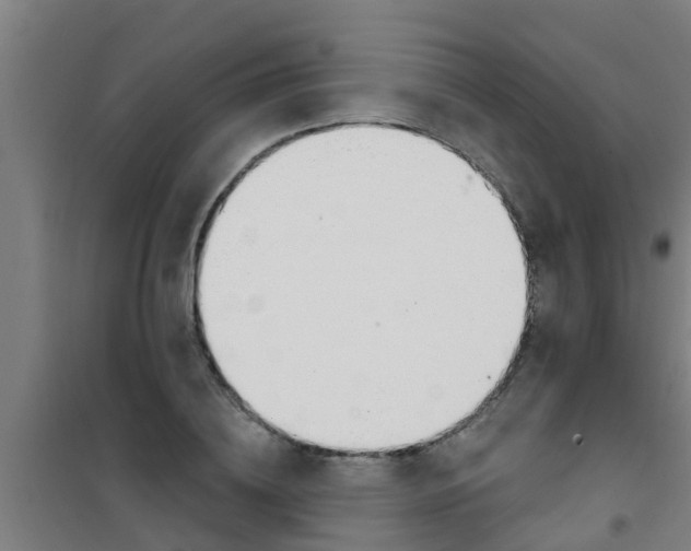 X0000100410836200807032035