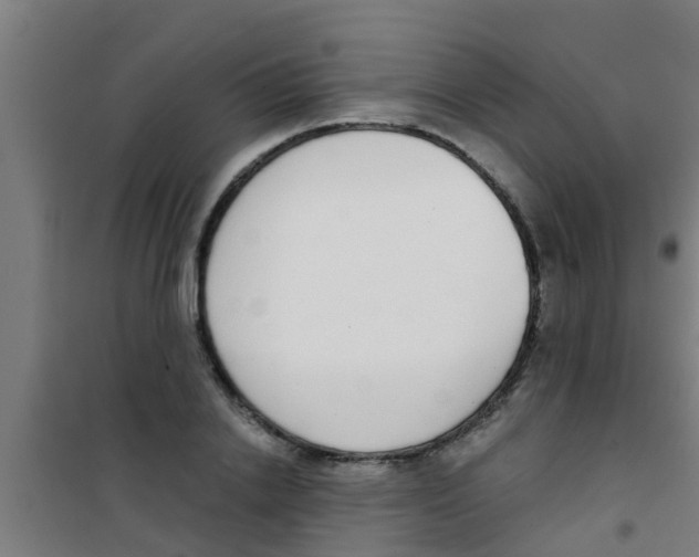 X0000100410838200807032035