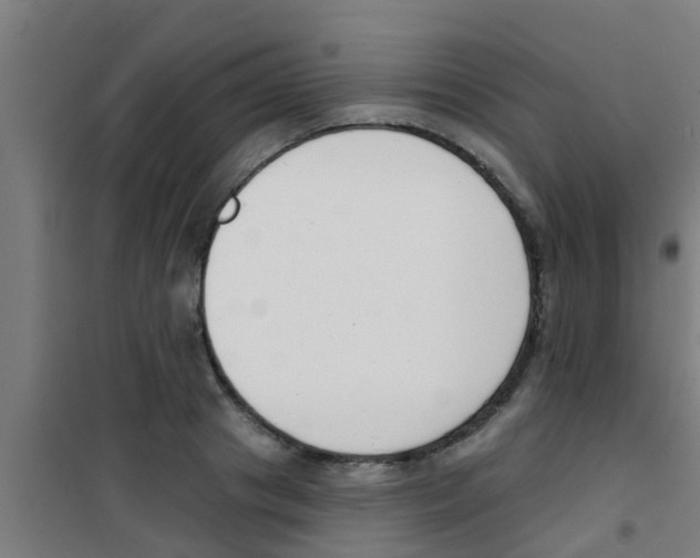 X0000100410841200807032035
