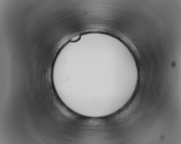 X0000100410842200807032035