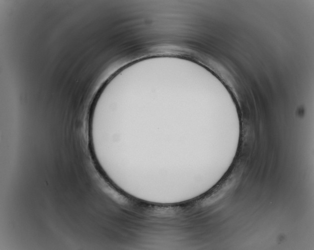 X0000100410843200807032035