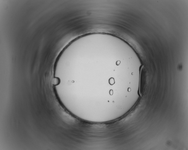 X0000100410844200807032035