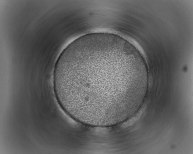 X0000100410847200807032035