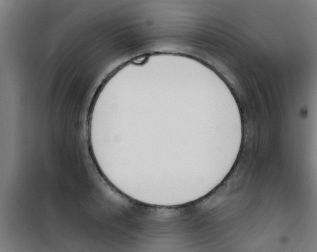 X0000100410848200807032035