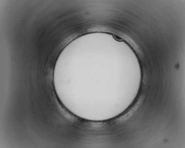 X0000100410849200807032035