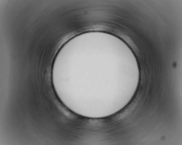 X0000100410850200807032035