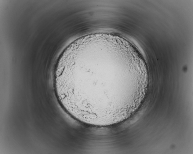X0000100410851200807032035