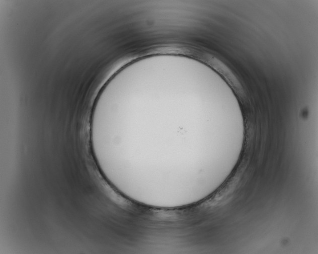 X0000100410852200807032035