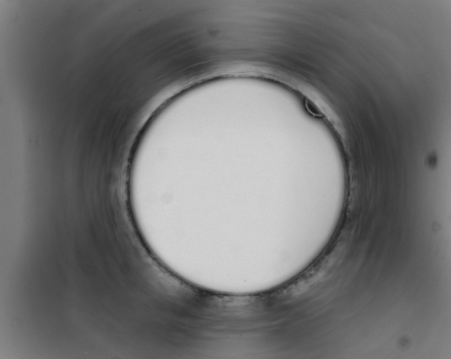 X0000100410853200807032035