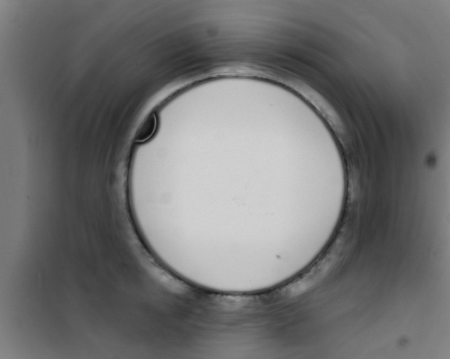 X0000100410854200807032035